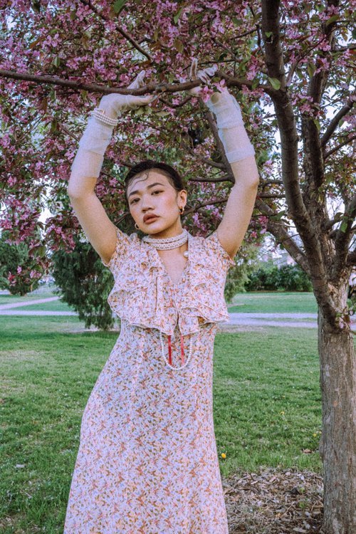 vintage floral collared dress